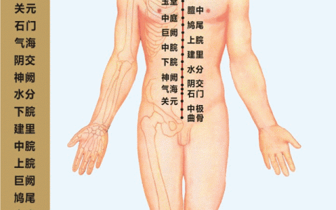 人体经络穴位与病症对照图高清