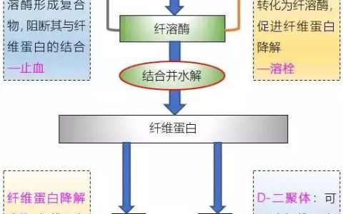 能美白的药有哪些(可以美白且副作用少的药)