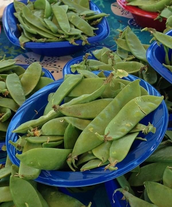 芝麻和此物一起炒，血管通畅无阻，美白肌肤，防黑斑，减肥瘦身