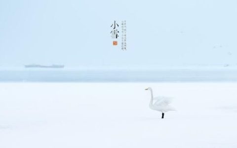 初春着凉了喝什么汤比较好,大雪过后喝什么养生汤最好