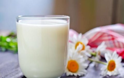 鲜牛奶的营养价值，纯牛奶和鲜牛奶有何区别,哪个营养价值更高?