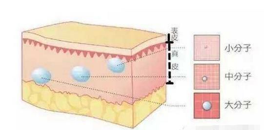 玻尿酸和水光针有啥区别图5