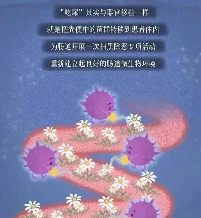 原来，粪便也有药用价值，不仅可以治病，还可以治抑郁症！