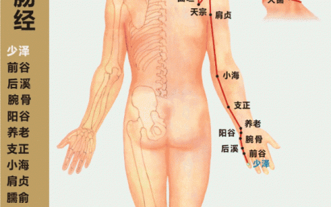 小肠经治肩膀疼的穴位有哪些