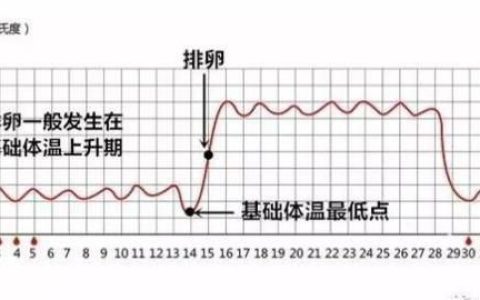 怎样才能排卵，怎样判断有无排卵 女性不排卵的症状有哪些